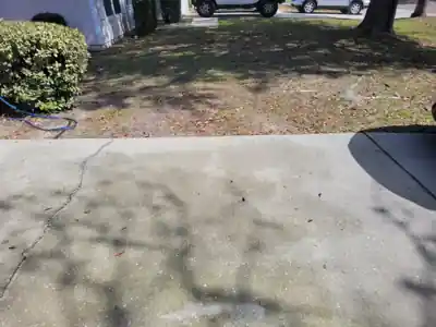 Clean curbside after Jamrock Junk Removal service